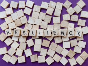 Read more about the article Building Resilience: How to Bounce Back from Life’s Challenges